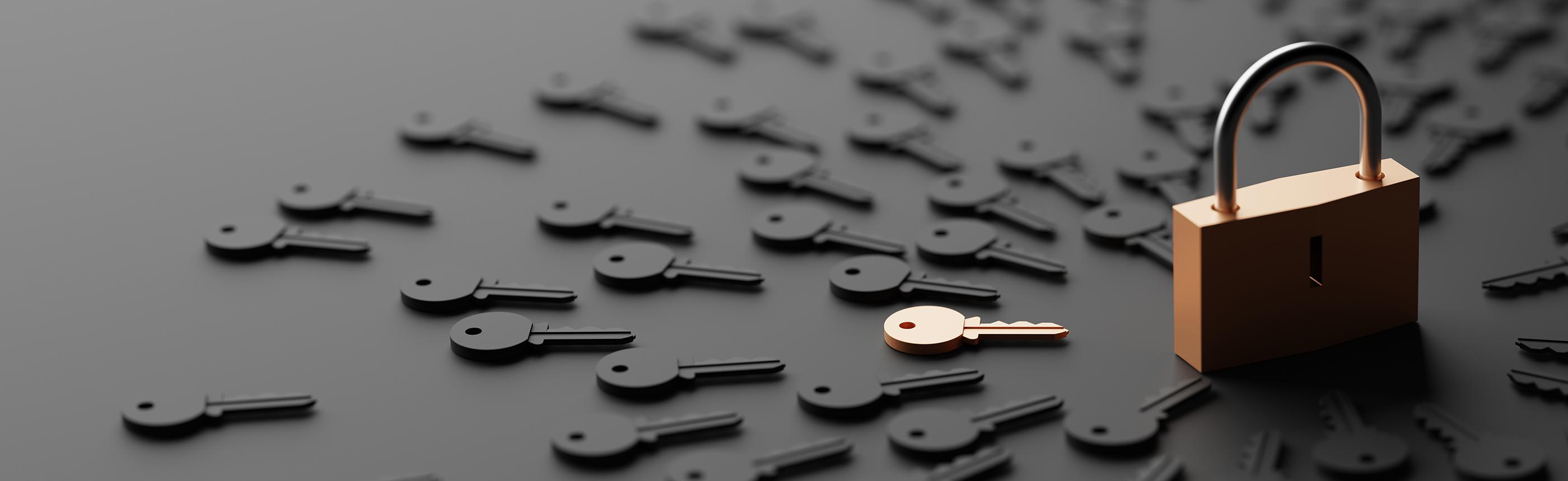 Credential stuffing and password spraying: Defending your business