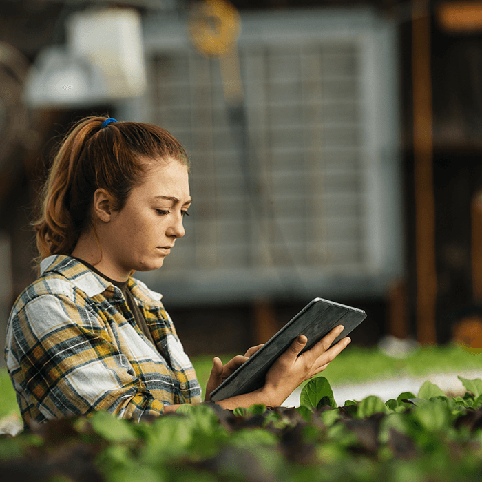 Essential cybersecurity best practices for small to medium-sized businesses