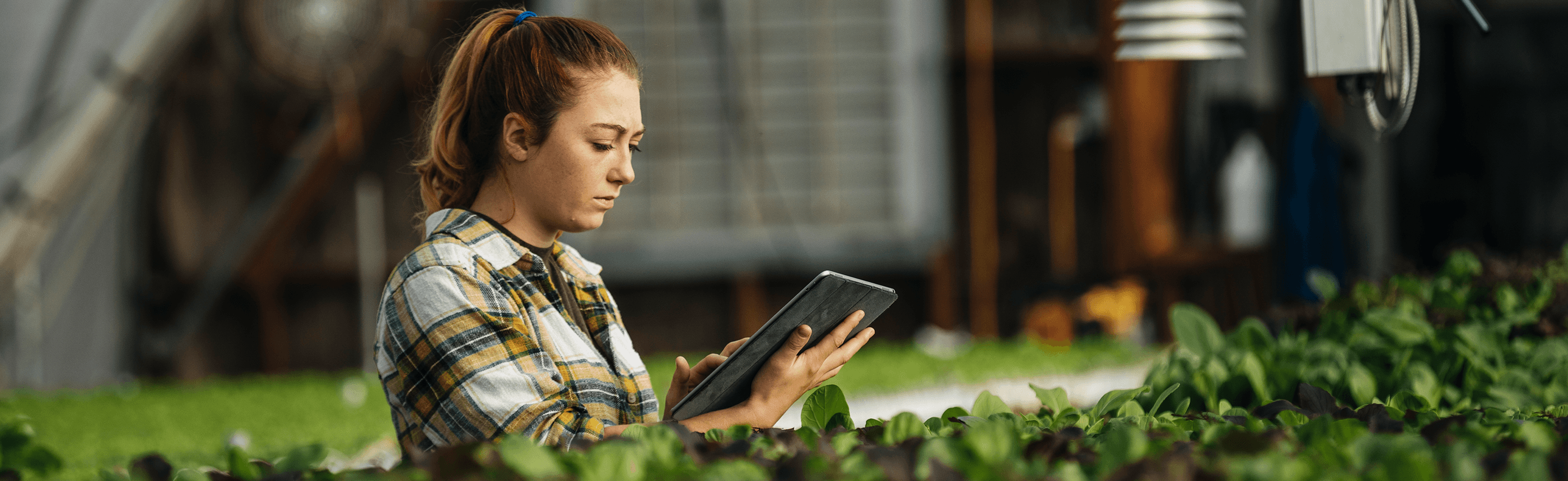 Essential cybersecurity best practices for small to medium-sized businesses