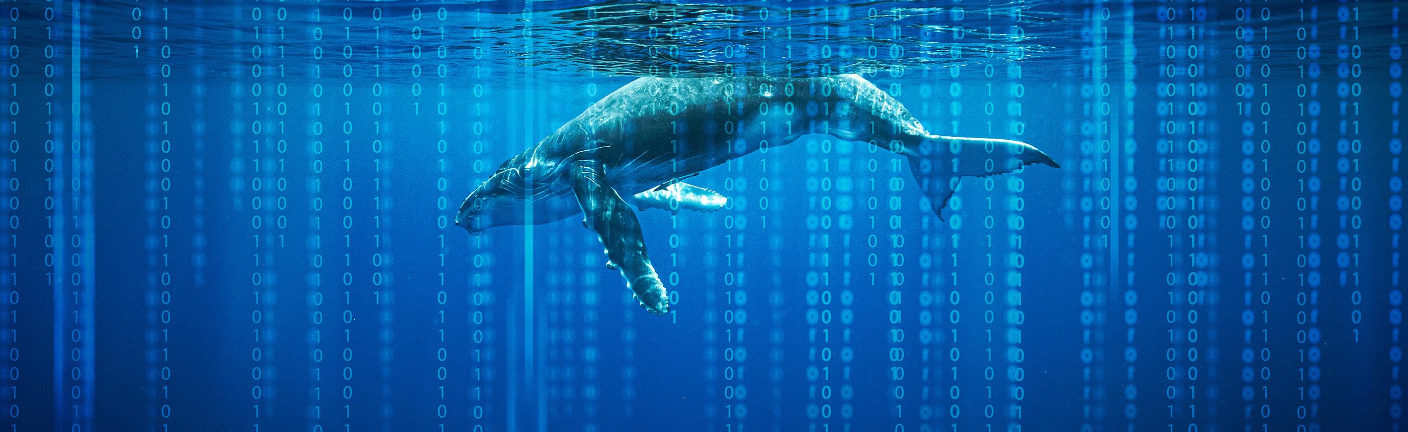 Whaling phishing: Understanding and defending against high-profile cyber attacks